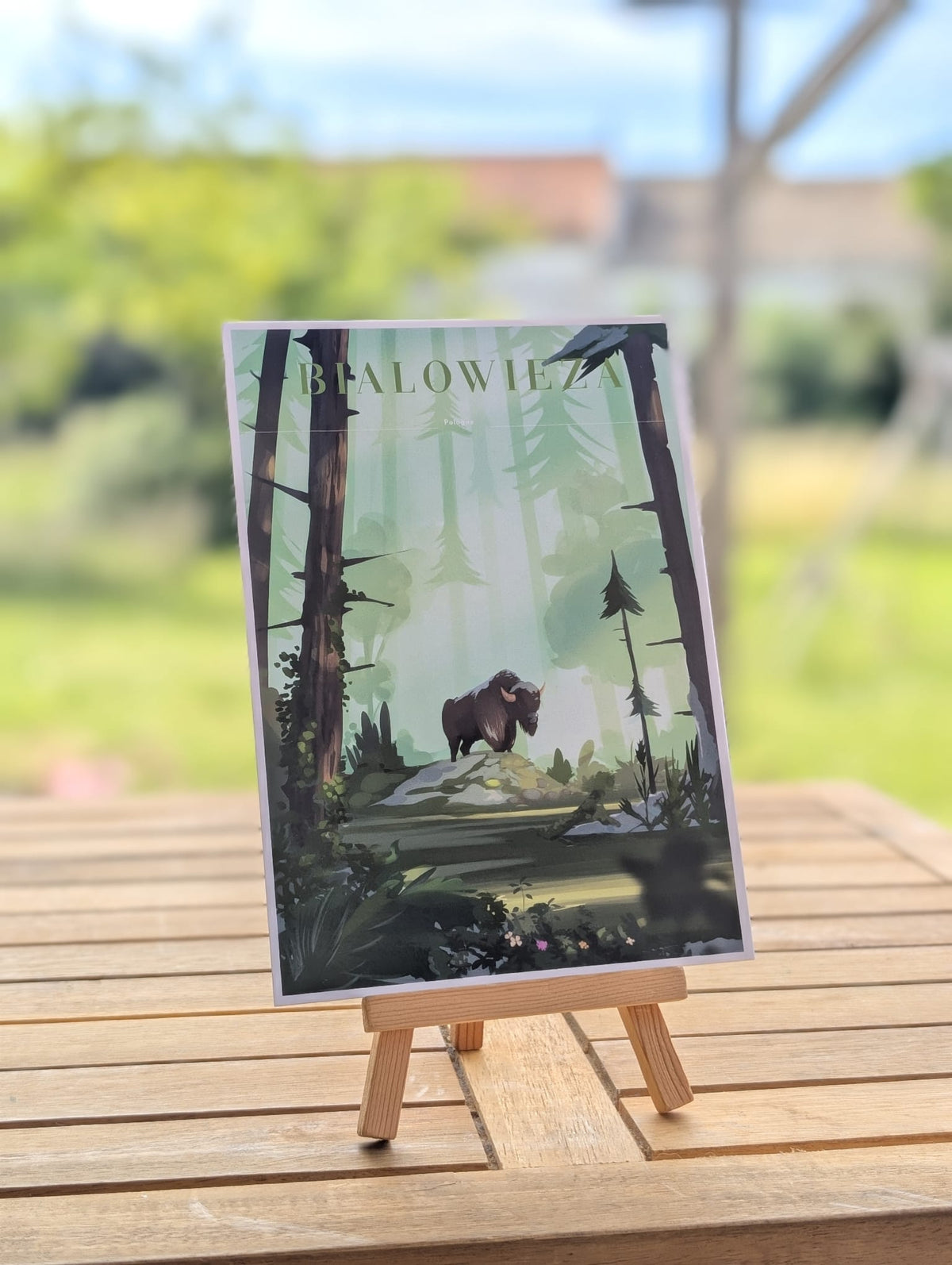 Cartes Postales - Bialowieza