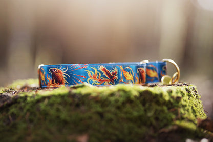 Phoenix - Collier pour chien