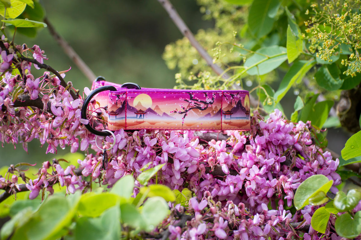 Collier pour chien - Sakura