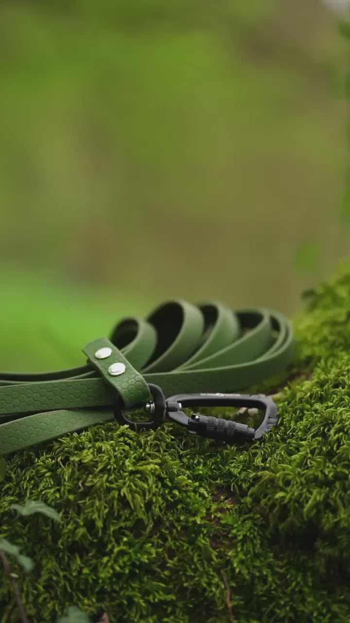 Longe Hexa - Olive