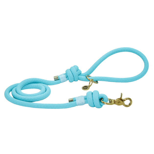 Laisse en corde Turquoise