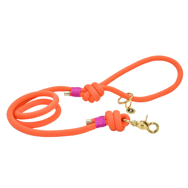Laisse en corde Orange